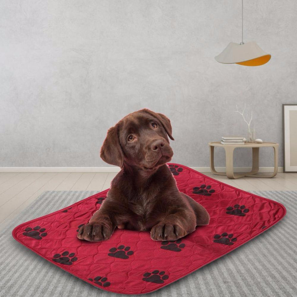 Reusable Dog Pee Mat - Etrendpro